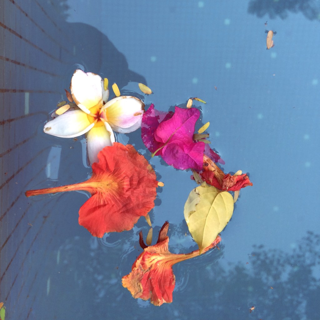 Dark Clouds Overhead