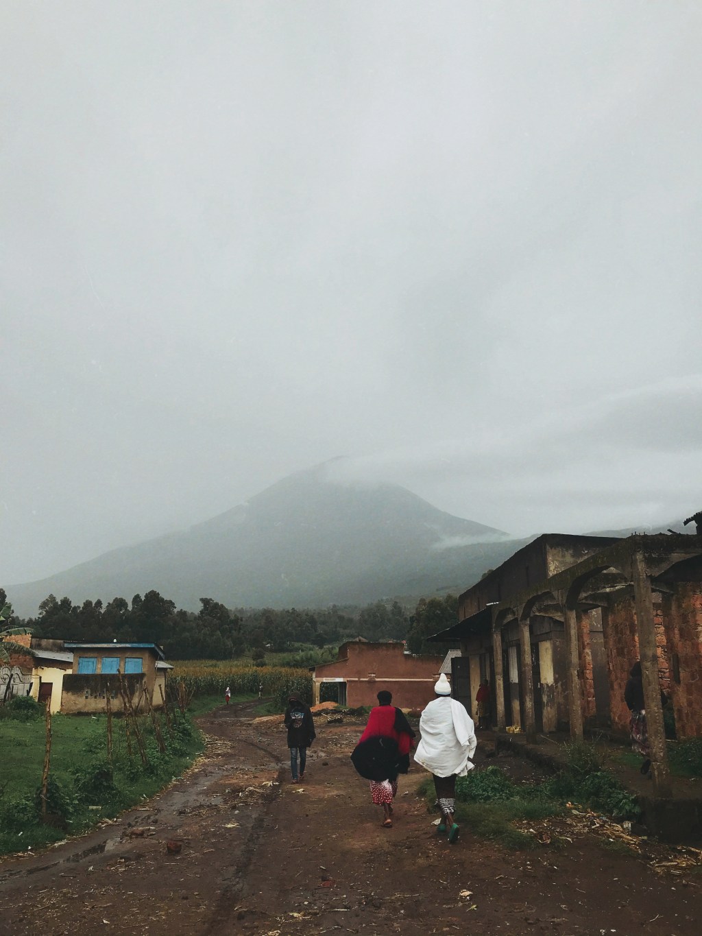 Mount Muhabura |&nbsp;Uganda