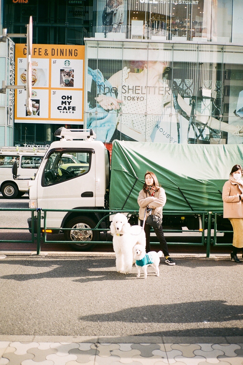 Through the Lens: Dog&nbsp;Mom