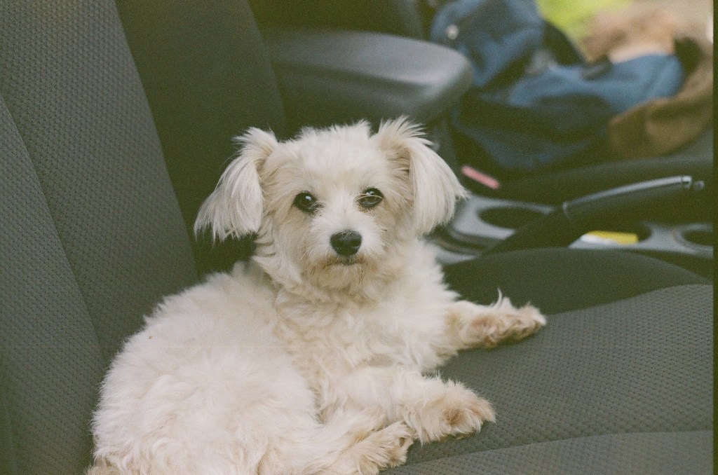 Testsie Roll: Expired Centuria&nbsp;400